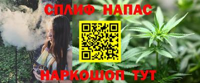 прущие грибы Беслан