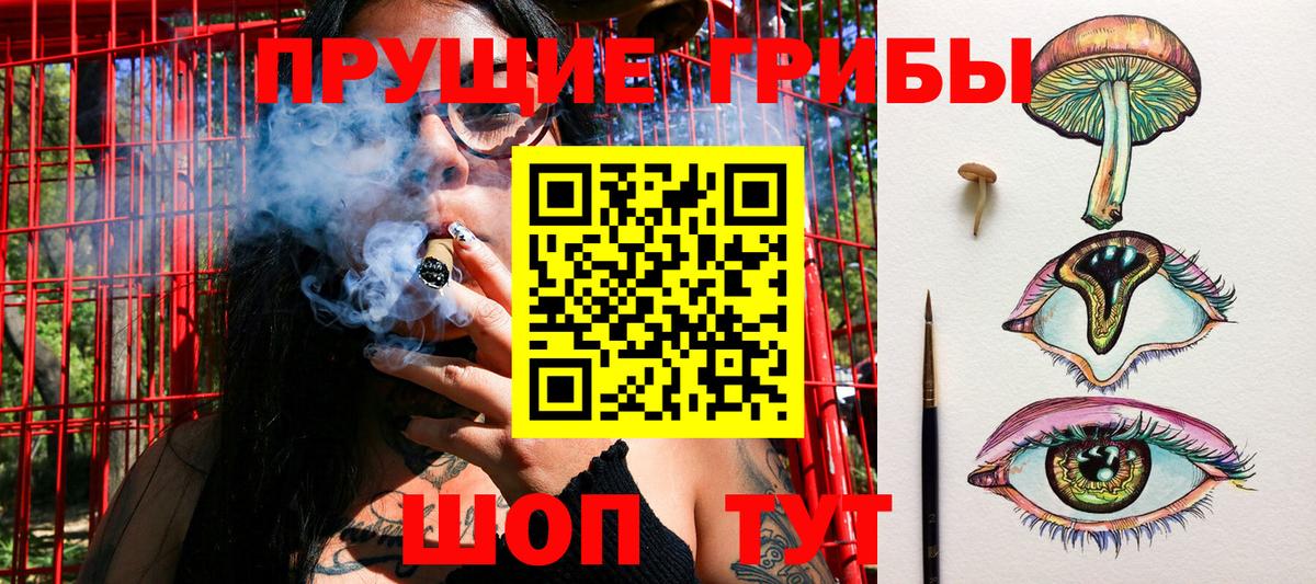Воронеж  Галлюциногенные грибы MAGIC MUSHROOMS  Вход с VPN 