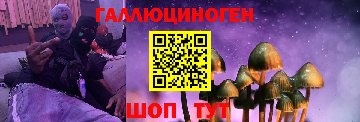 Псилоцибиновые грибы мухоморы Воронеж